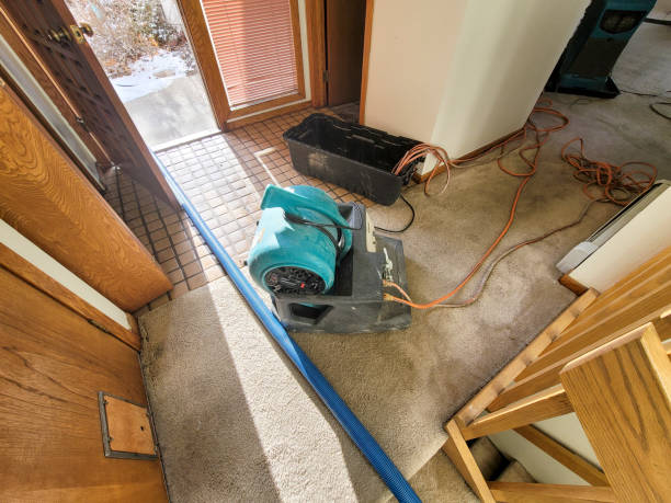 Best Local water damage restoration  in Port St John, FL
