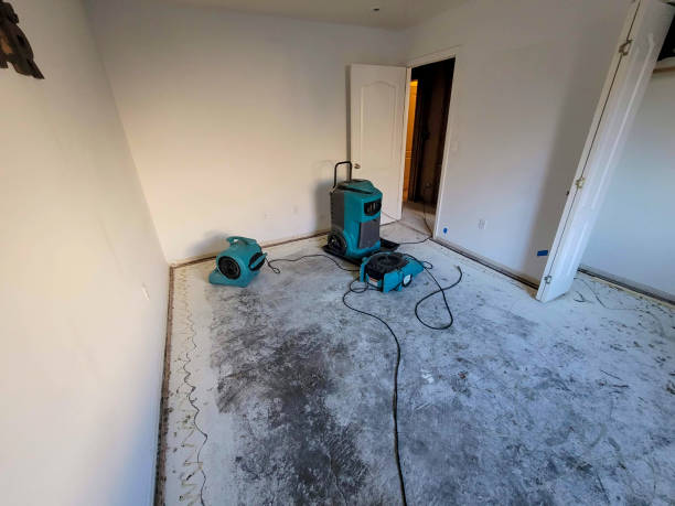 Best Commercial water damage restoration  in Port St John, FL