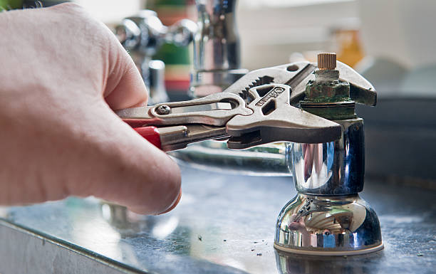 Best Flood damage cleanup  in Port St John, FL