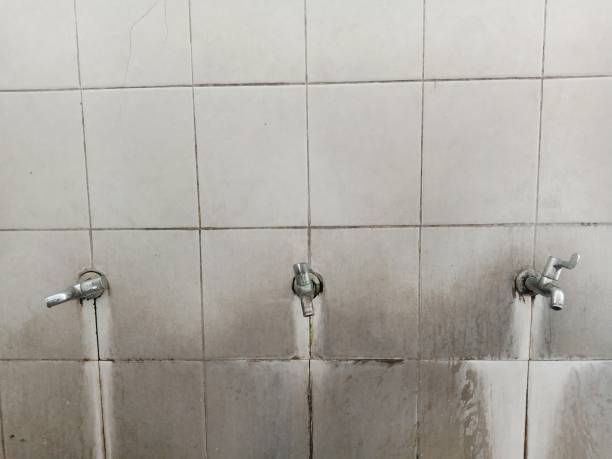 Best Water damage restoration near me  in Port St John, FL